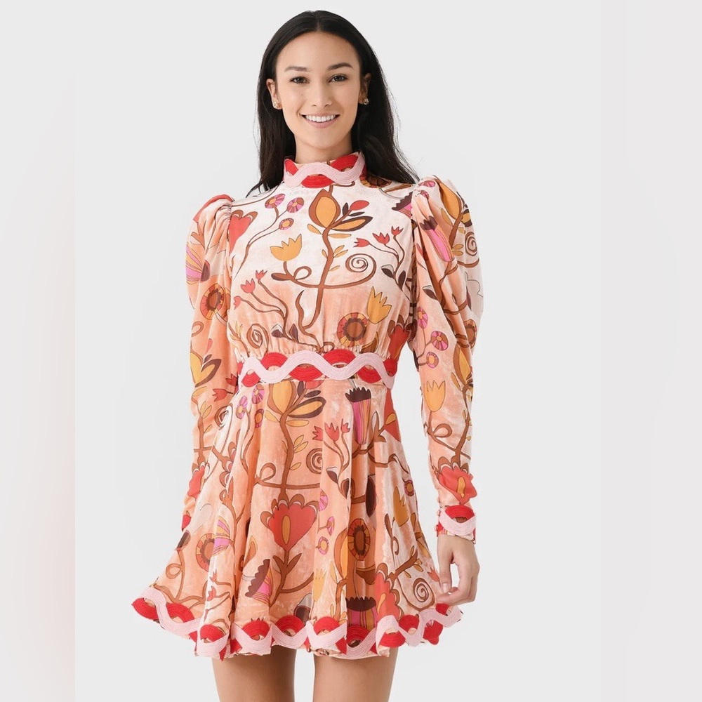 Brand New CeliaB dress!
